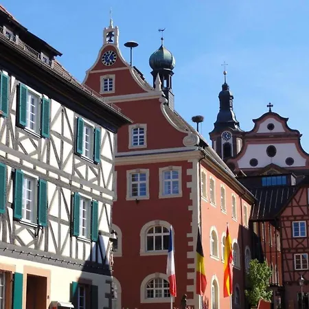 Lejlighed Perfekt Fuer Familien Und Gruppen Nur 10min Vom Europapark - W6